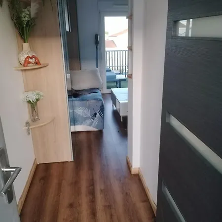 Appartamento Grand Cosy Et Lumineux